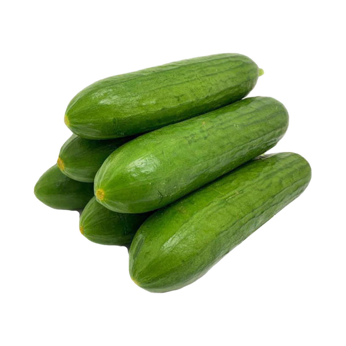 急凍食品 – 集森食品
